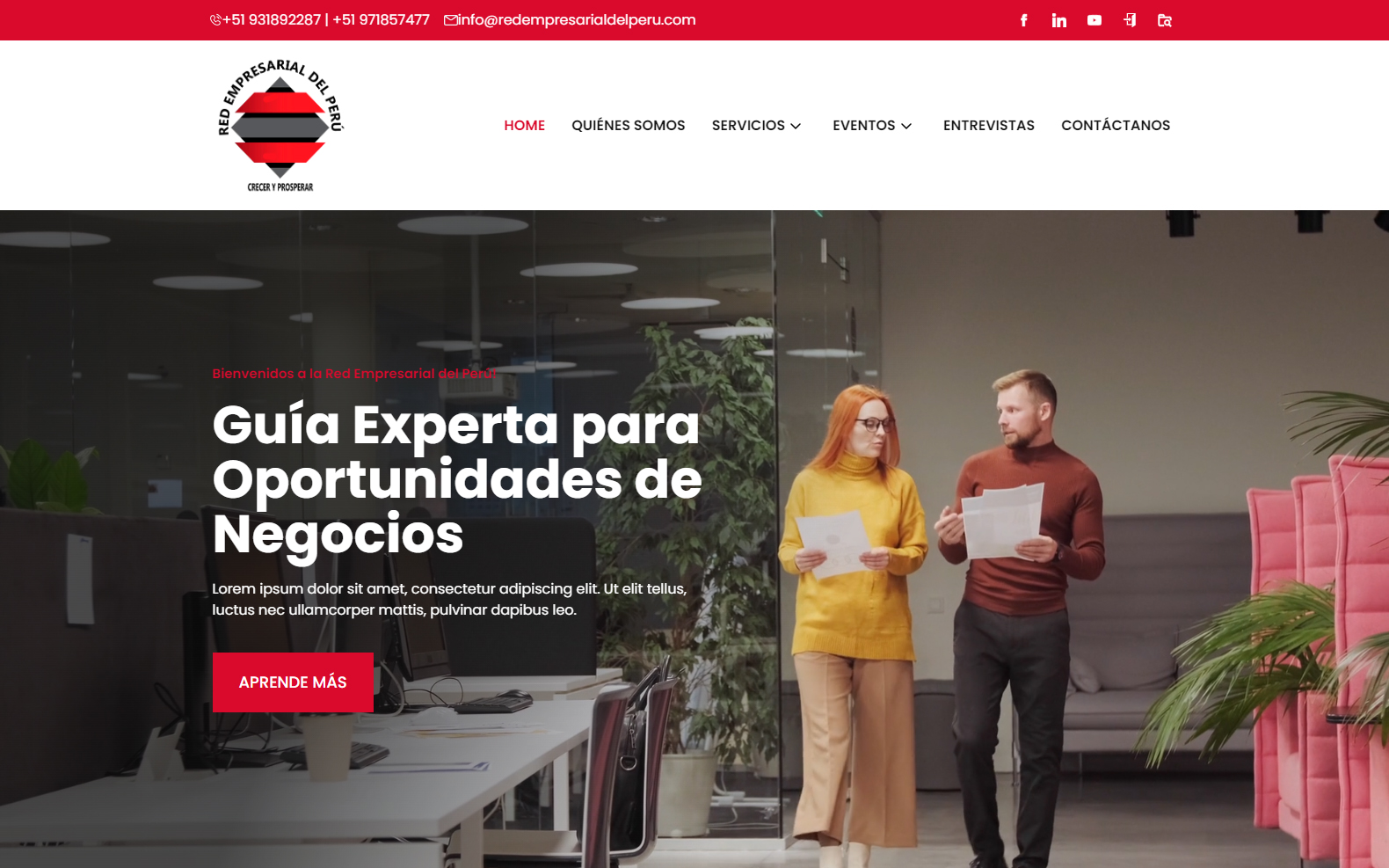 Proyecto Red Empresarial